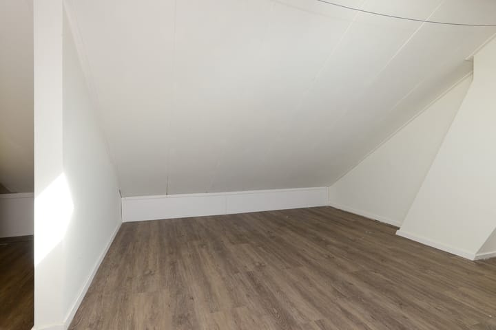 Foto 31 van Ureterperend 10