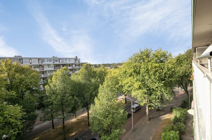 Photo 6 of Volendamlaan 899