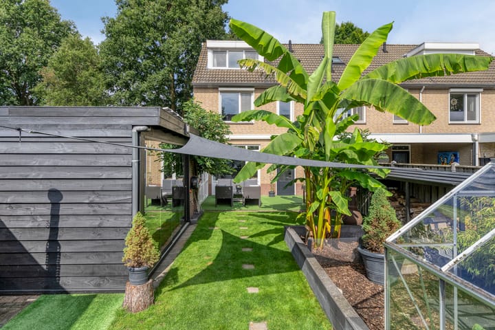 Foto 5 van Leverkruid 36