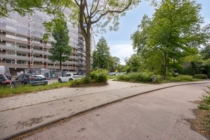 Foto 4 van Jonkerbos 233