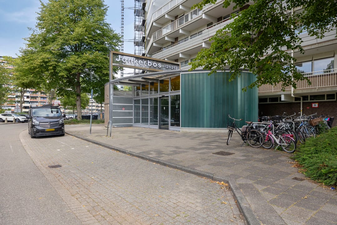 Foto 22 van Jonkerbos 233