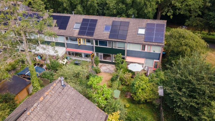 Foto 4 van Houtsnijdershorst 616