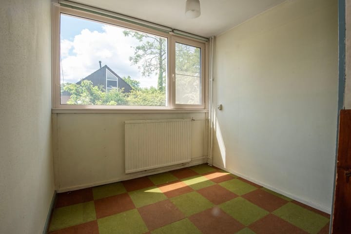 Foto 21 van Houtsnijdershorst 616