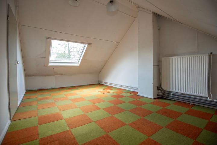 Foto 35 van Houtsnijdershorst 616