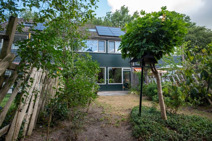 Foto 39 van Houtsnijdershorst 616