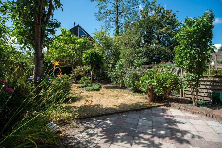 Foto 41 van Houtsnijdershorst 616