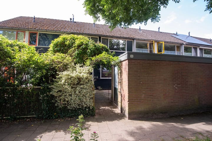 Foto 1 van Houtsnijdershorst 616