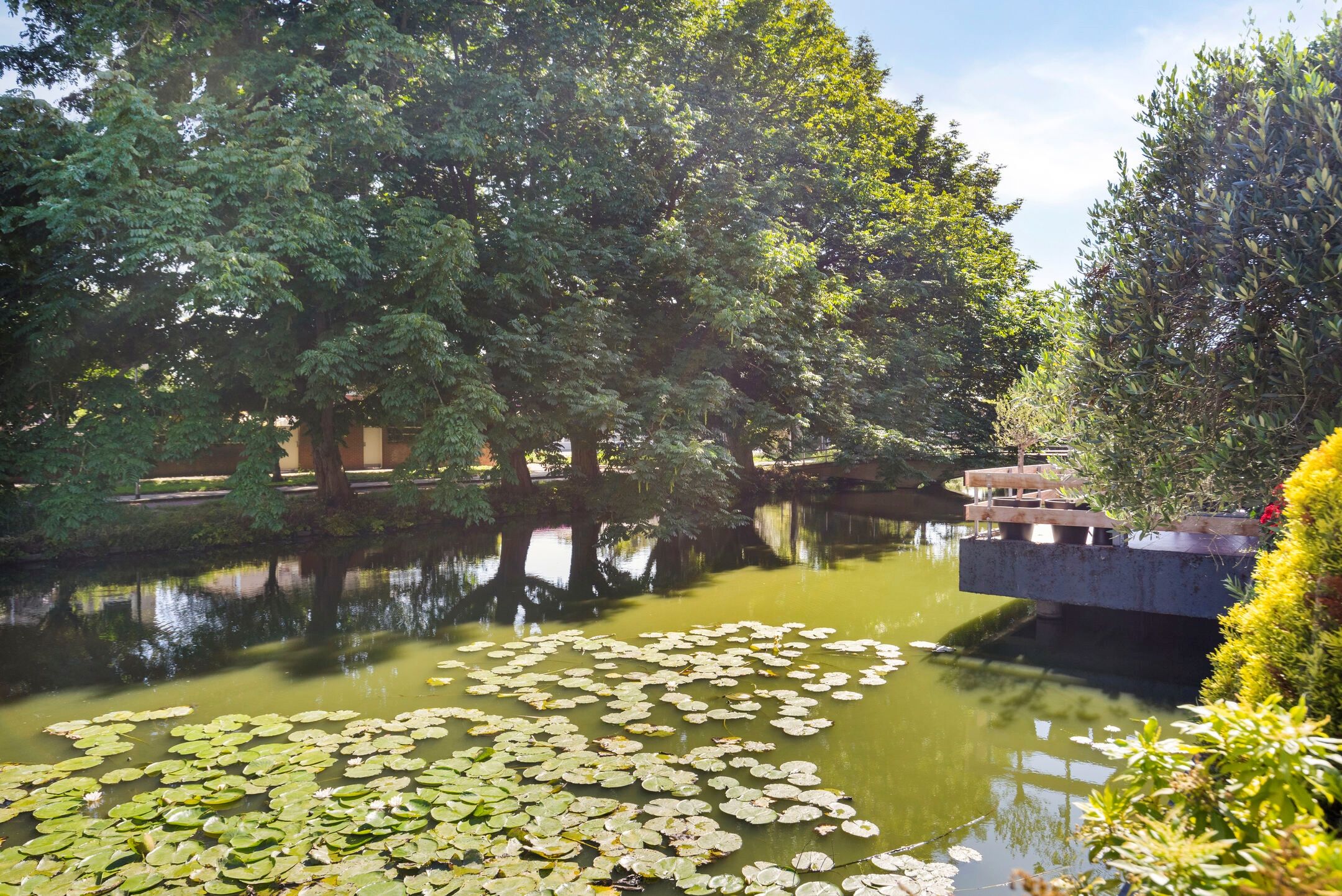 Foto 30 van Neckardal 24