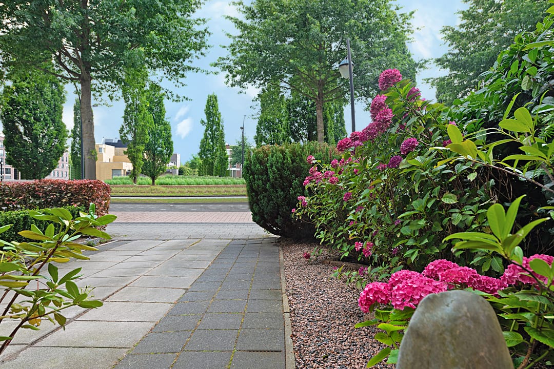 Foto 8 van Laakboulevard 248