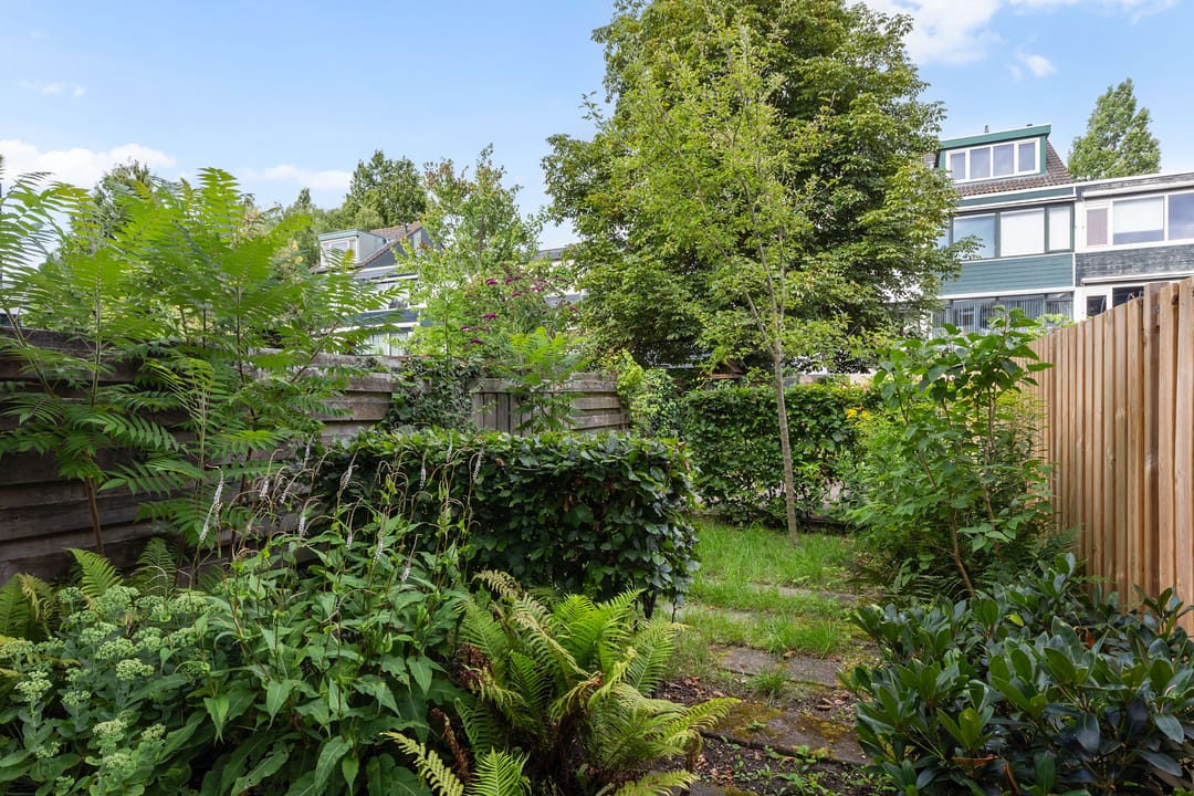 Foto 16 van Anijsstraat 56