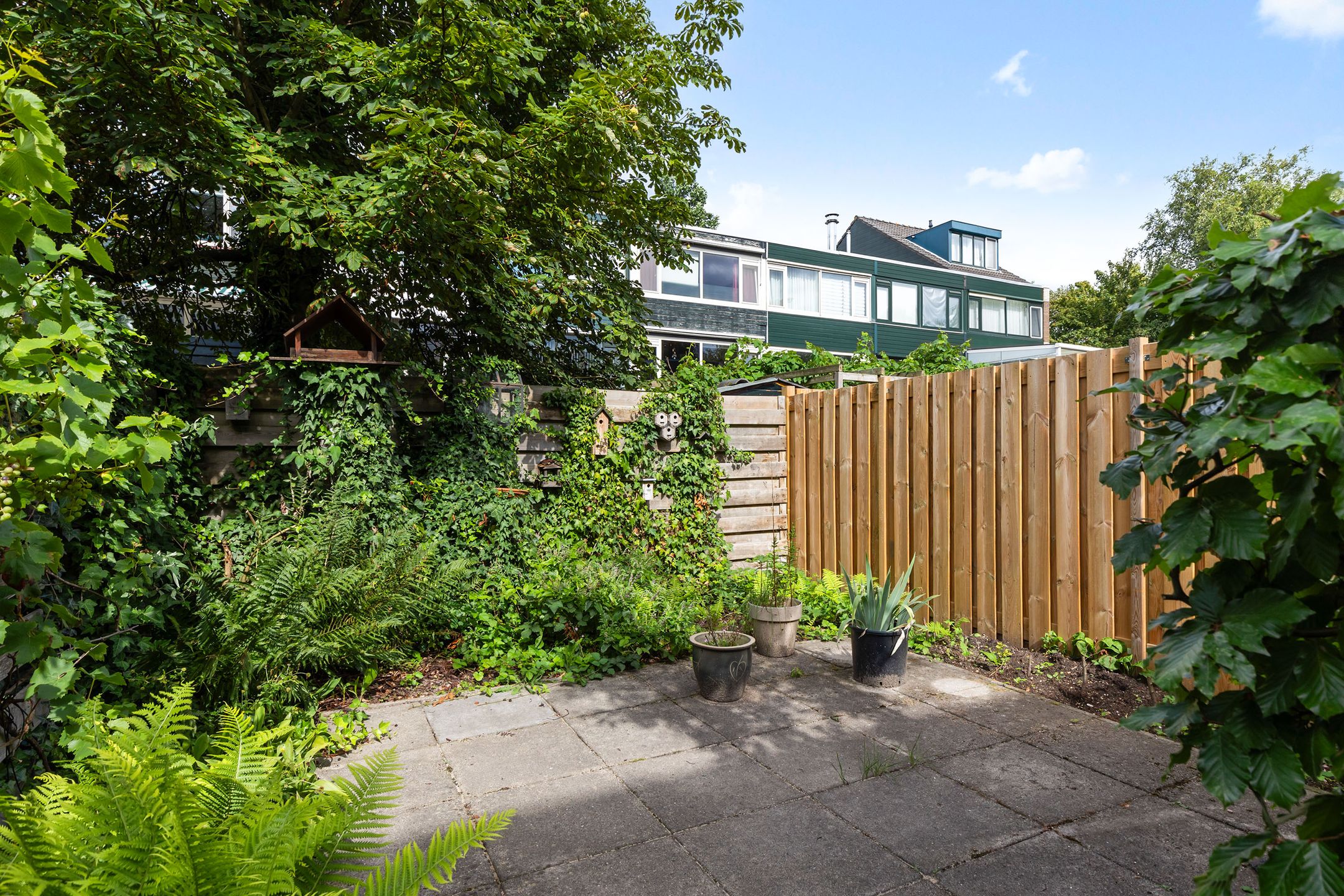 Foto 18 van Anijsstraat 56