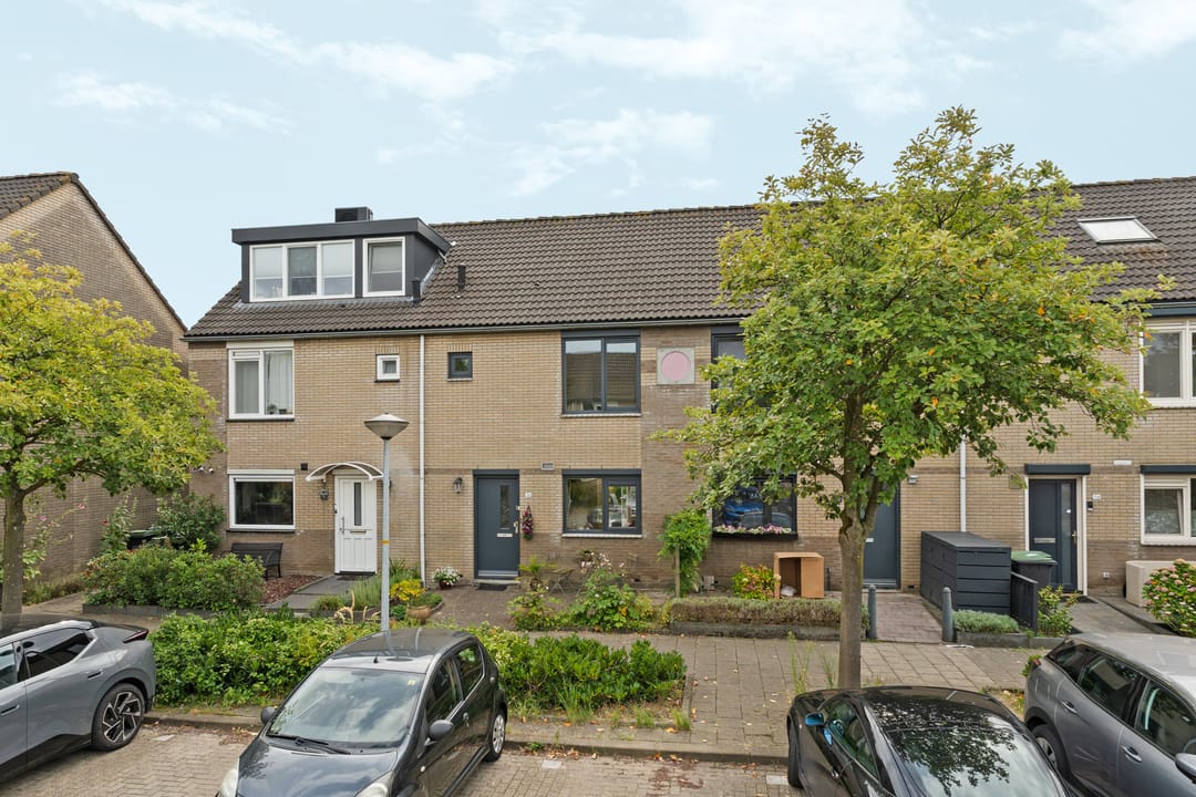 Foto 1 van Sweelinckplantsoen 38