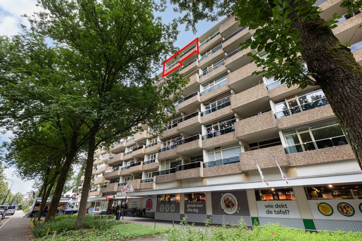 Foto 35 van Koning Lodewijklaan 306