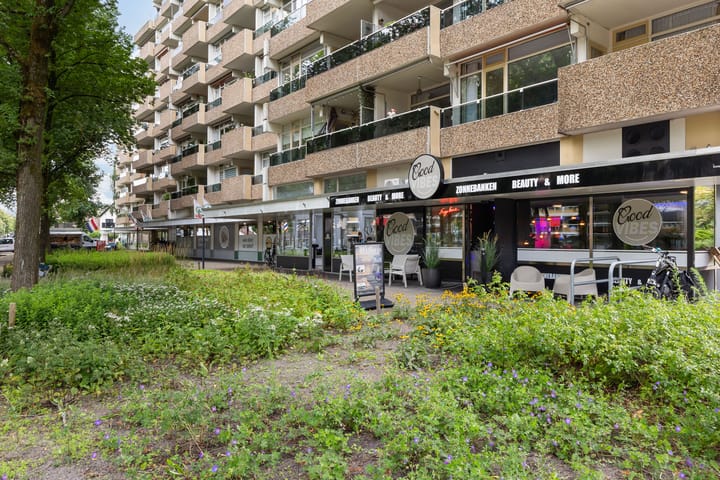 Foto 36 van Koning Lodewijklaan 306