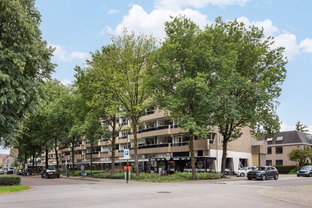 Photo 38 of Koning Lodewijklaan 306