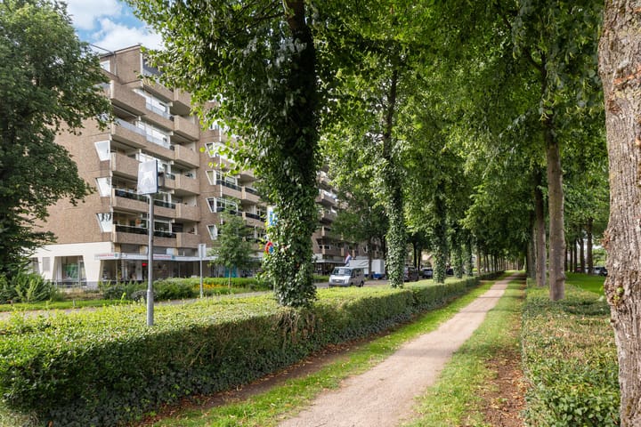 Foto 44 van Koning Lodewijklaan 306