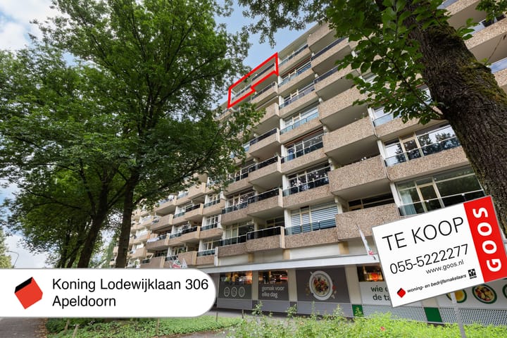 Foto 49 van Koning Lodewijklaan 306