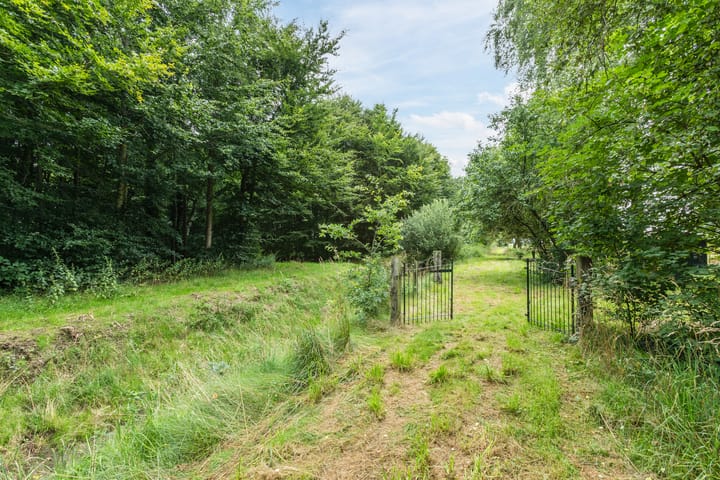 Photo 41 of Ericasestraat 112