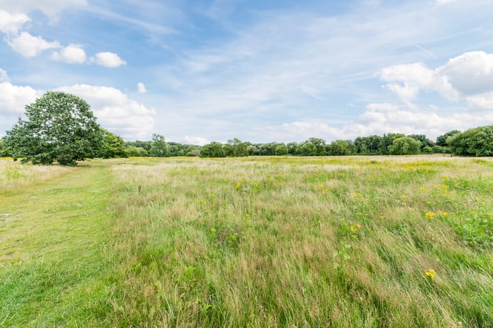 Photo 42 of Ericasestraat 112