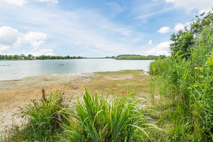 Photo 43 of Ericasestraat 112