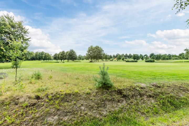 Photo 45 of Ericasestraat 112