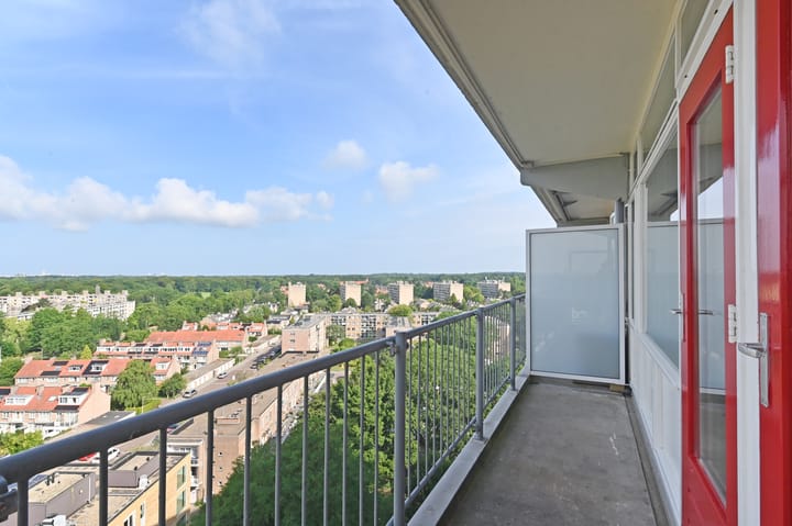 Elviraland 130 main image