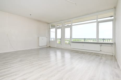 Elviraland 130 secondary image