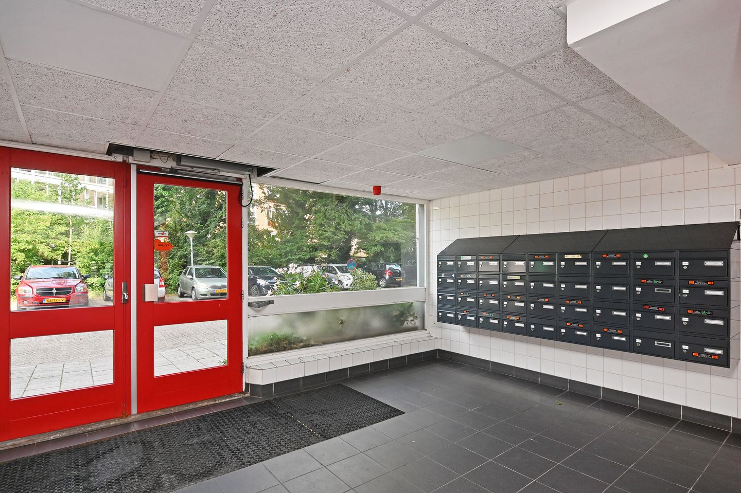 Foto 4 van Elviraland 130