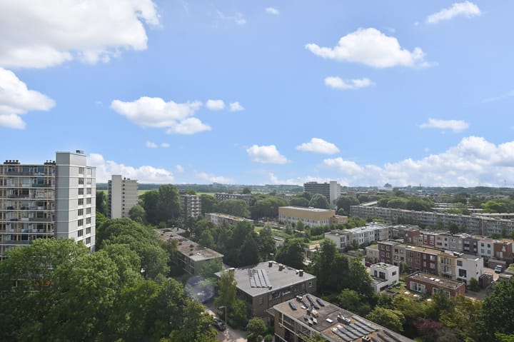 Foto 14 van Elviraland 130