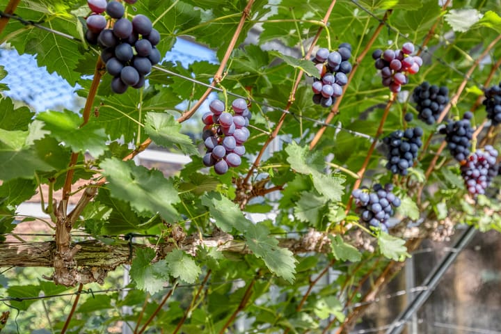 Foto 46 van Bijltjesstraat 2