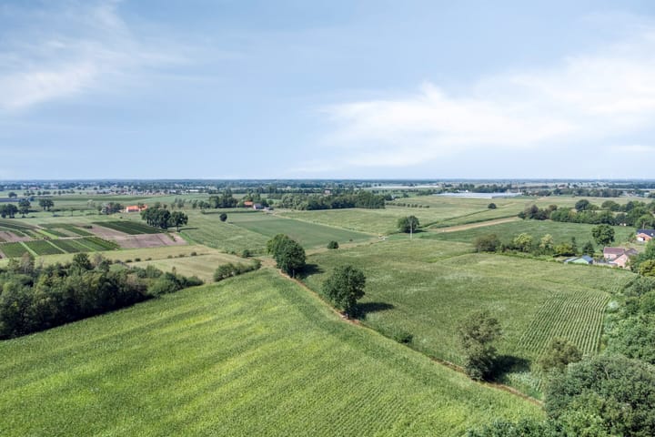 Foto 52 van Bijltjesstraat 2