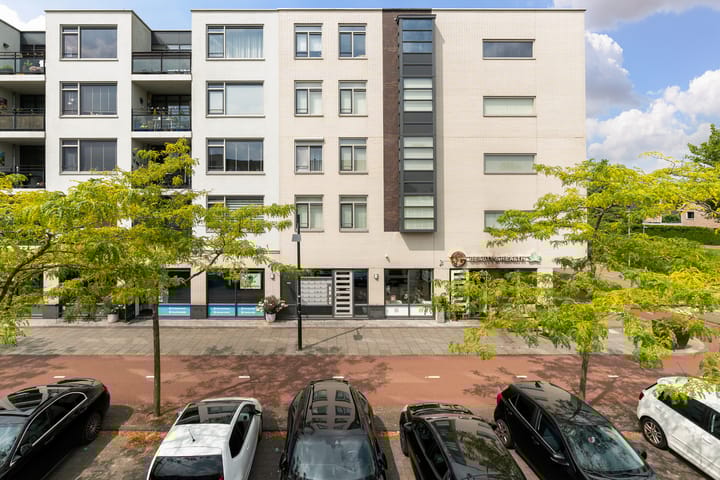 Foto 1 van Avenue Carnisse 306