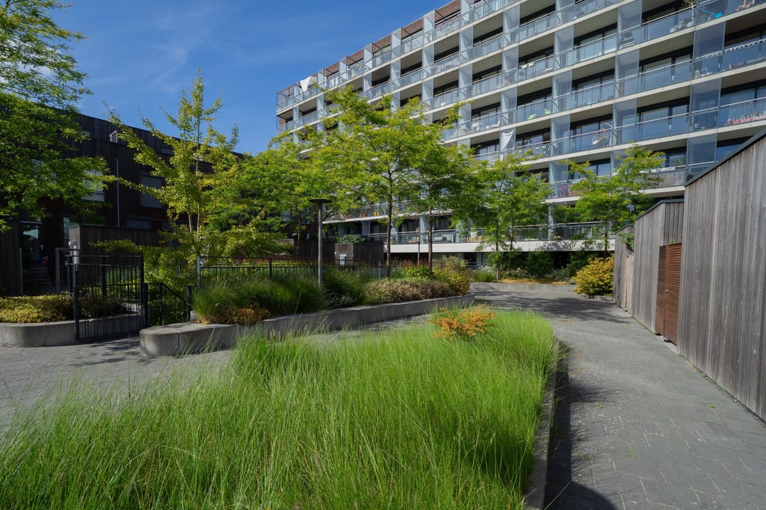 Foto 2 van Pieter van Musschenbroekstraat 153