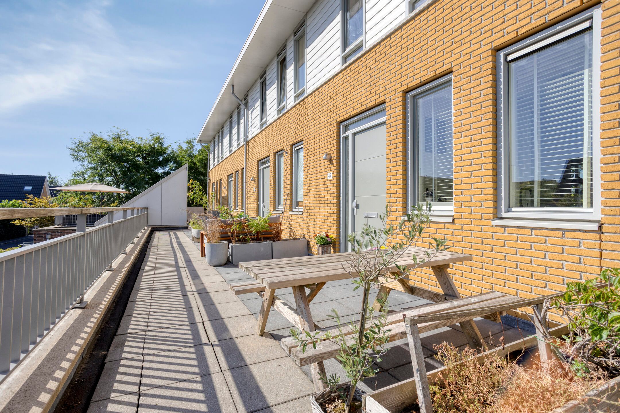 Foto 3 van Koraalzee 47