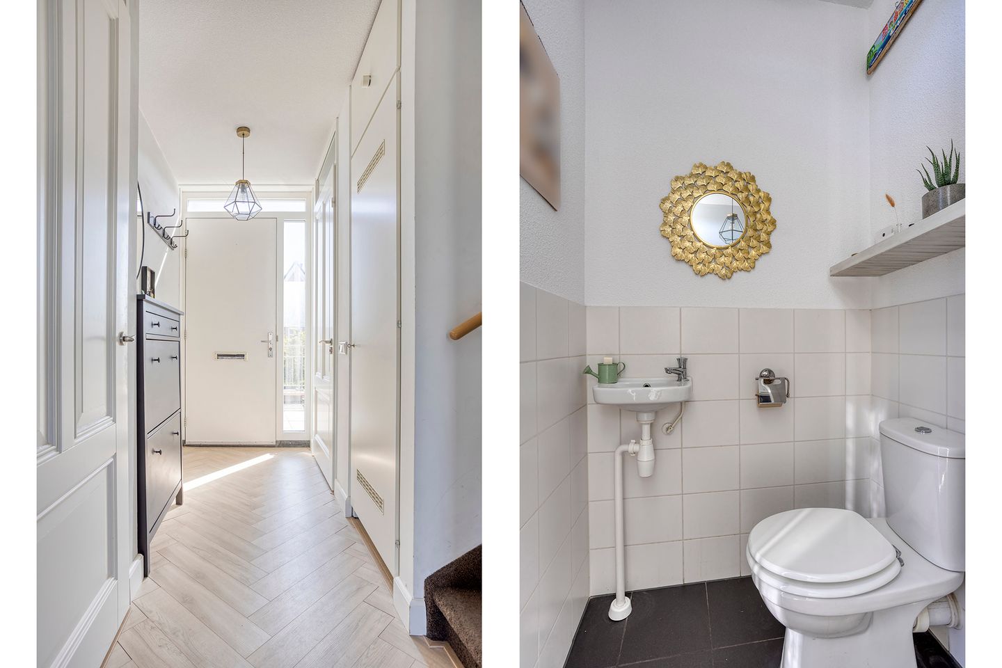 Foto 14 van Koraalzee 47