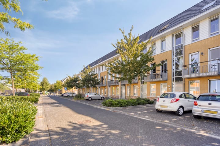 Foto 33 van Koraalzee 47