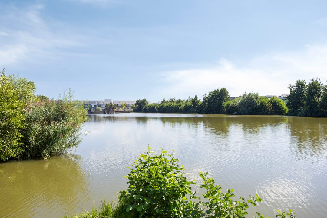 Foto 41 van Koraalzee 47