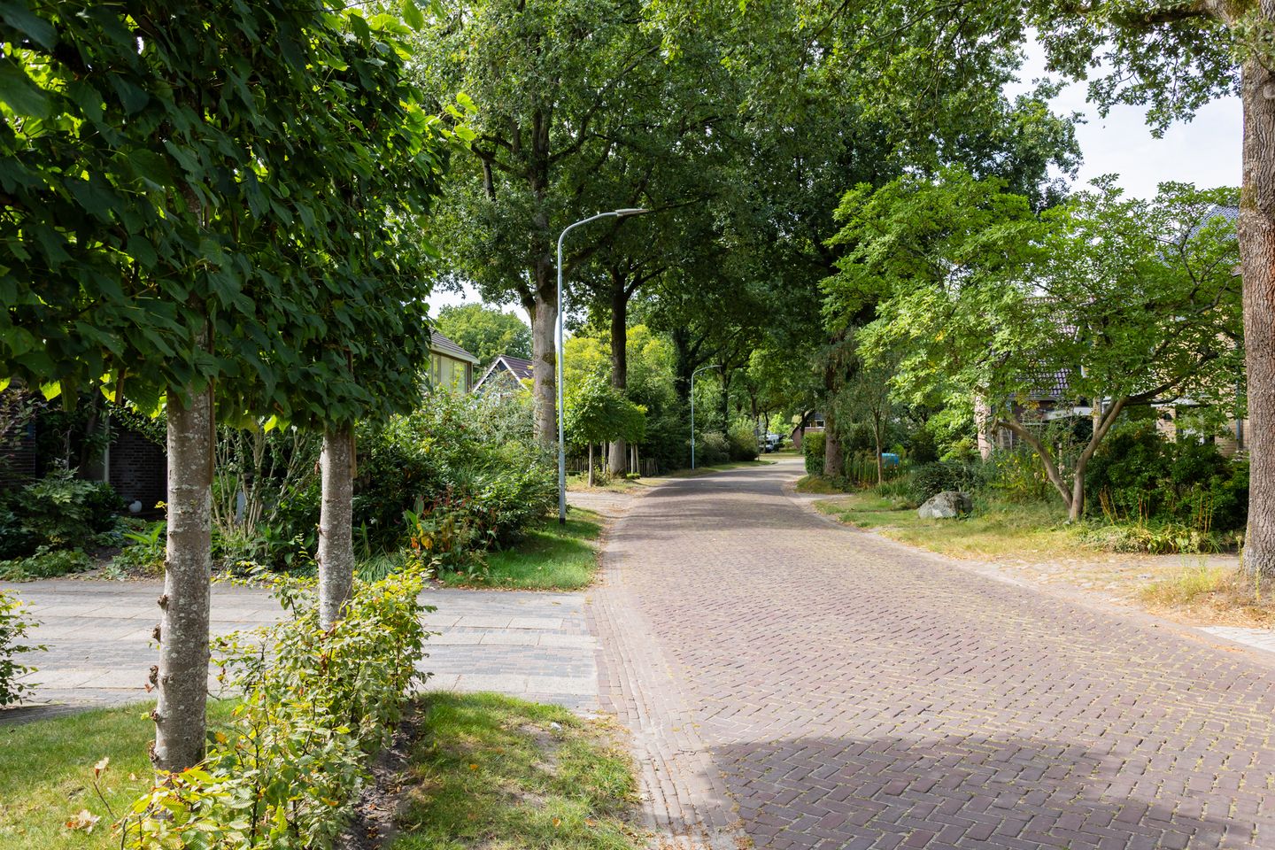 Photo 70 of Rolderdingspillaan 21