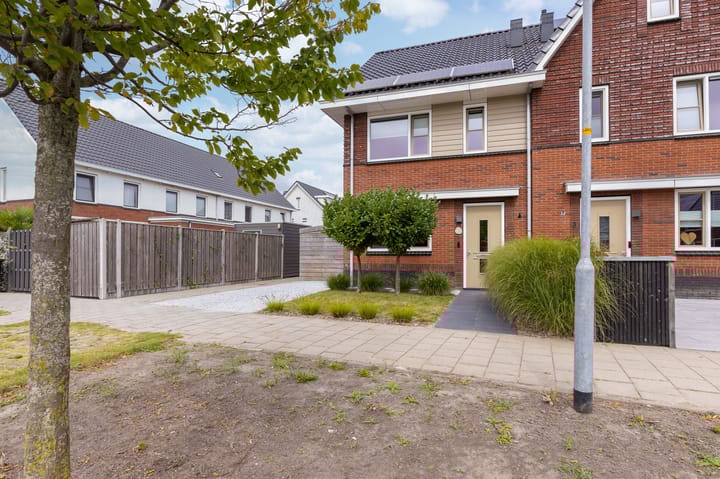 Foto 5 van IJsvogel 1