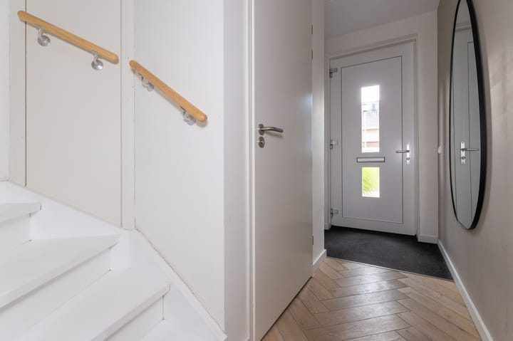 Foto 21 van IJsvogel 1