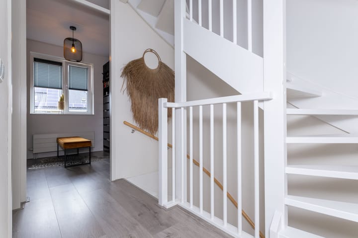 Foto 23 van IJsvogel 1