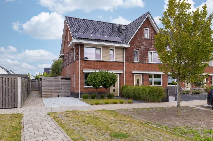 Foto 57 van IJsvogel 1