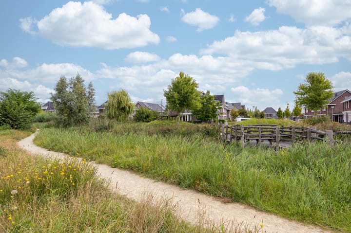 Foto 59 van IJsvogel 1