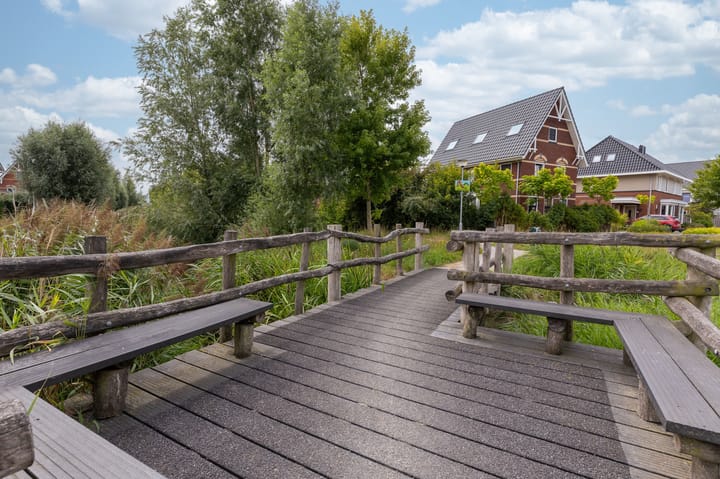 Foto 62 van IJsvogel 1