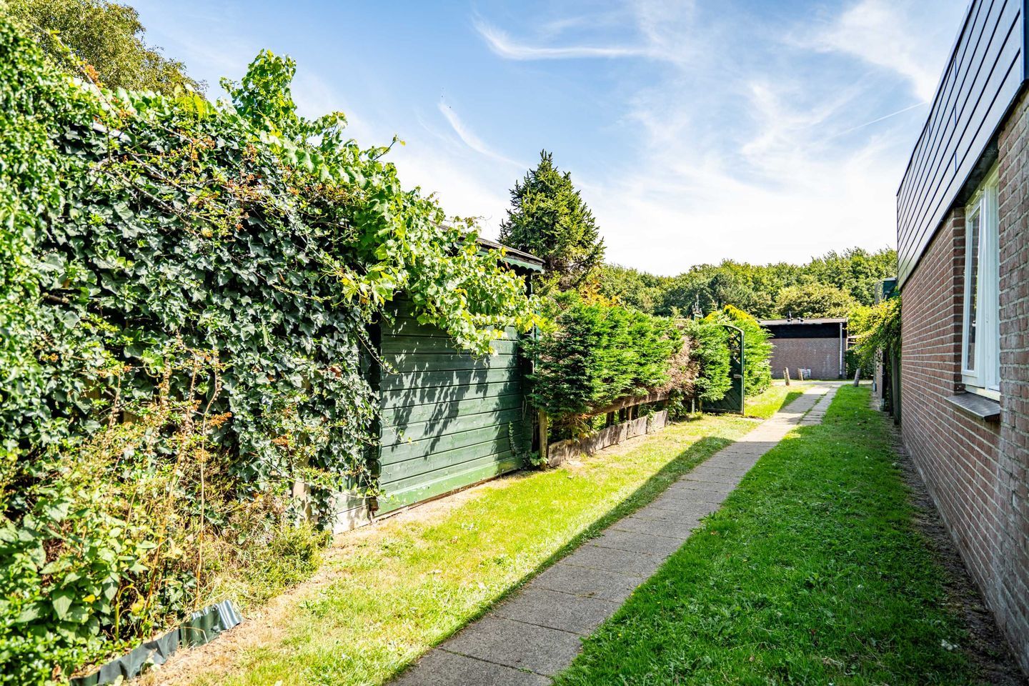 Foto 14 van Duinschooten 12-296