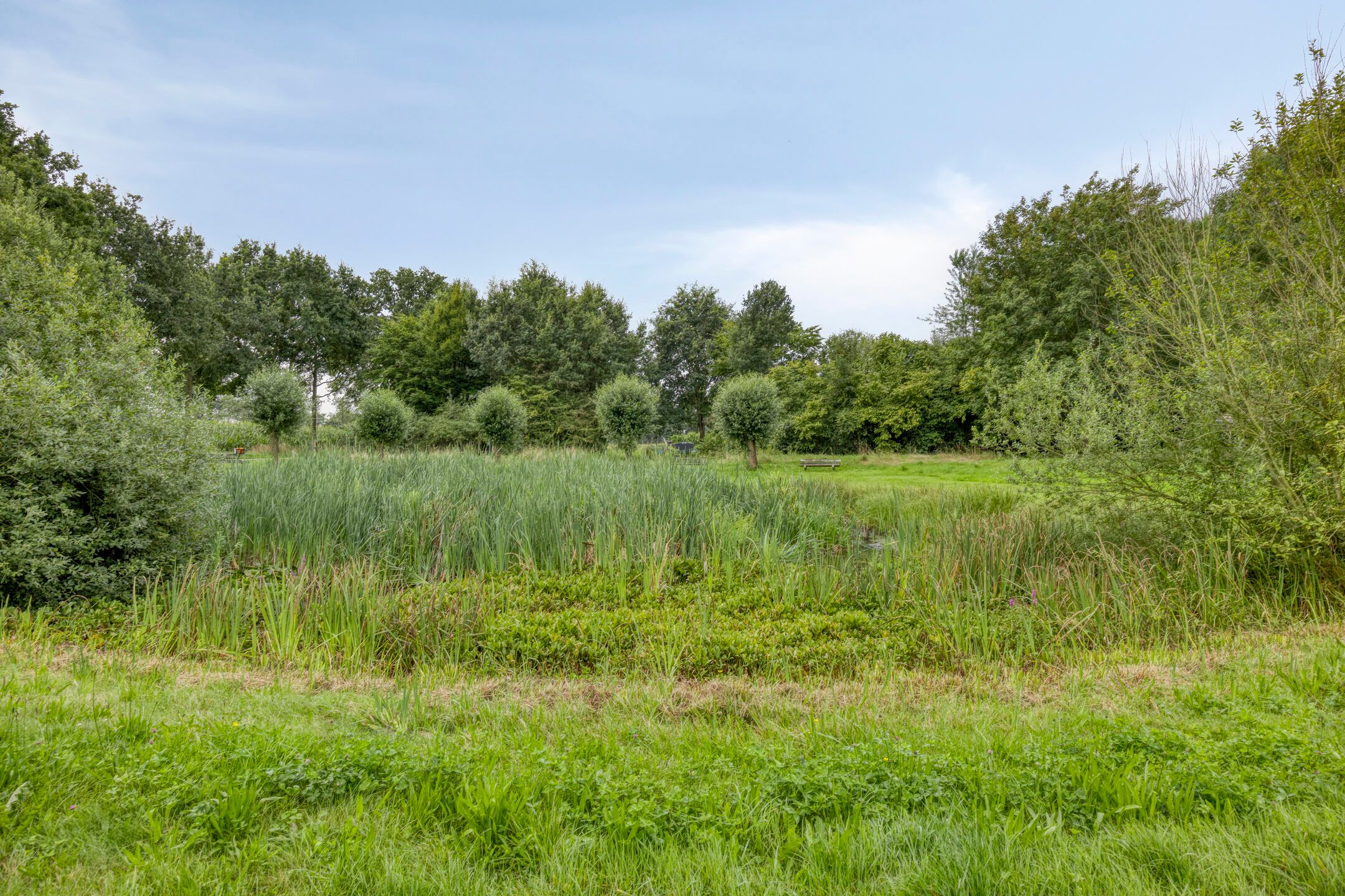 Foto 48 van Castorstraat 16