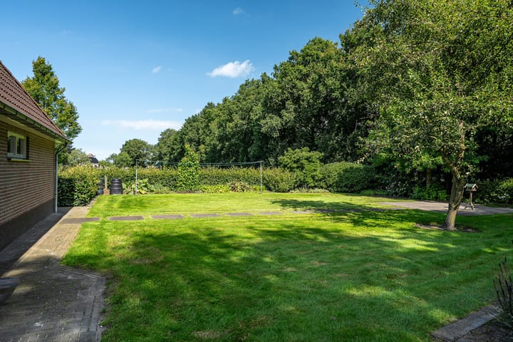 Foto 9 van Weinterp 31