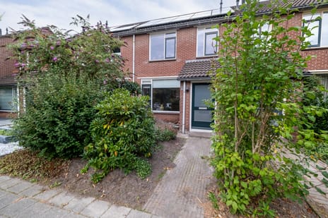 undefined main image