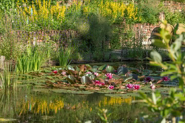 Foto 53 van Boterveen 13