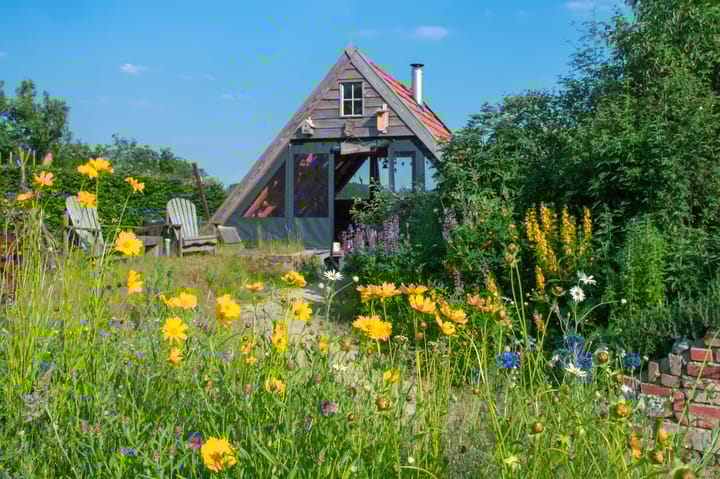 Foto 58 van Boterveen 13